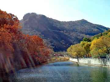 新澳天天开奖资料大全旅游团，可调电阻箱